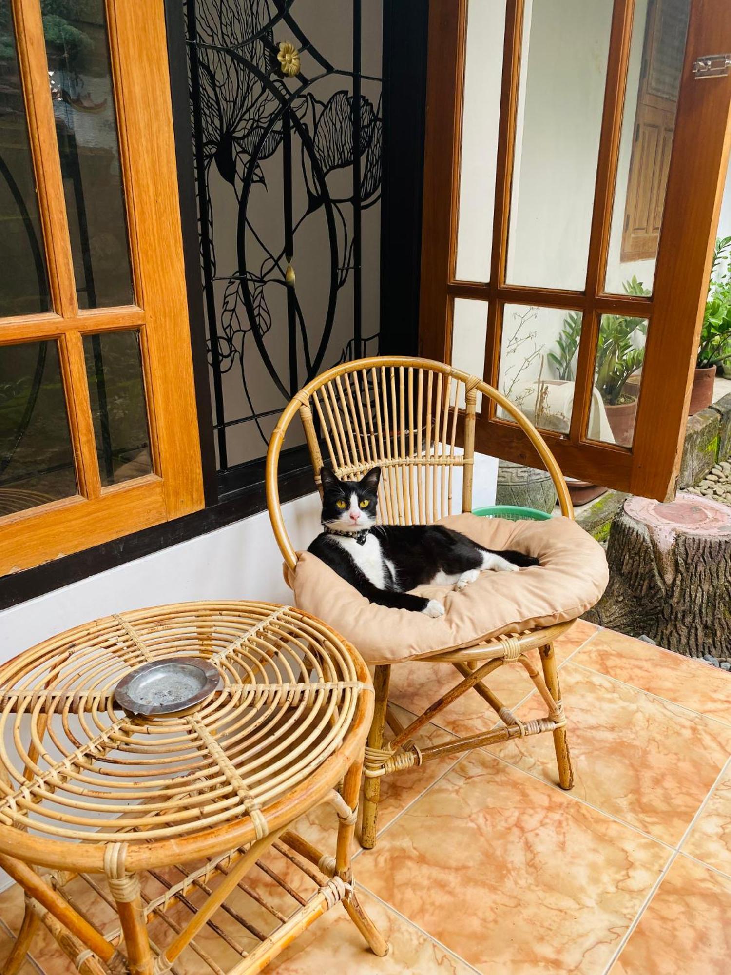 Zzz Pansiyon Banyuwangi  Dış mekan fotoğraf